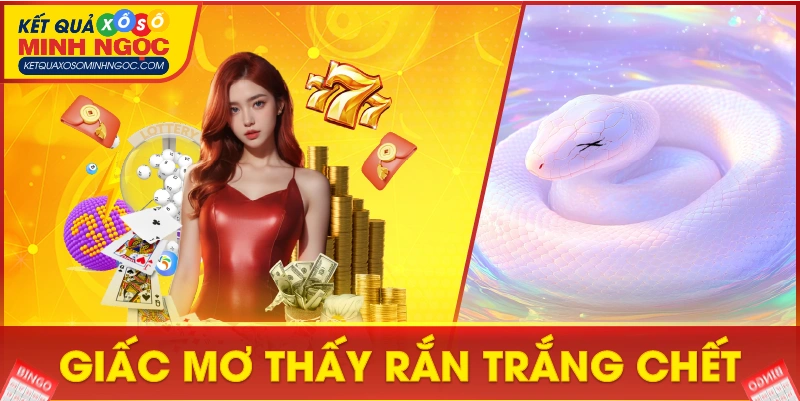 Giấc mơ thấy rắn trắng chết