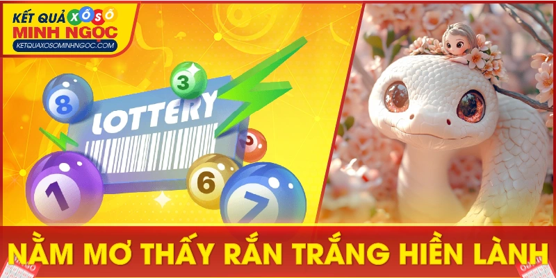 Nằm mơ thấy rắn trắng hiền lành